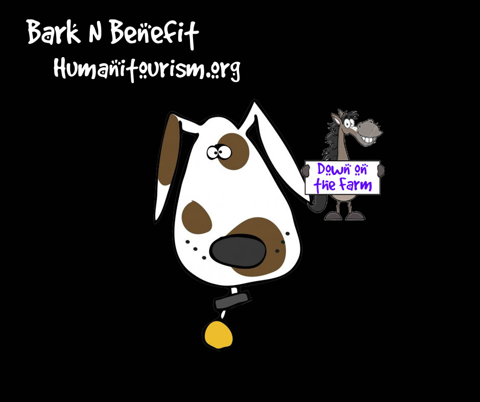 Bark N Benefit Fundraiser